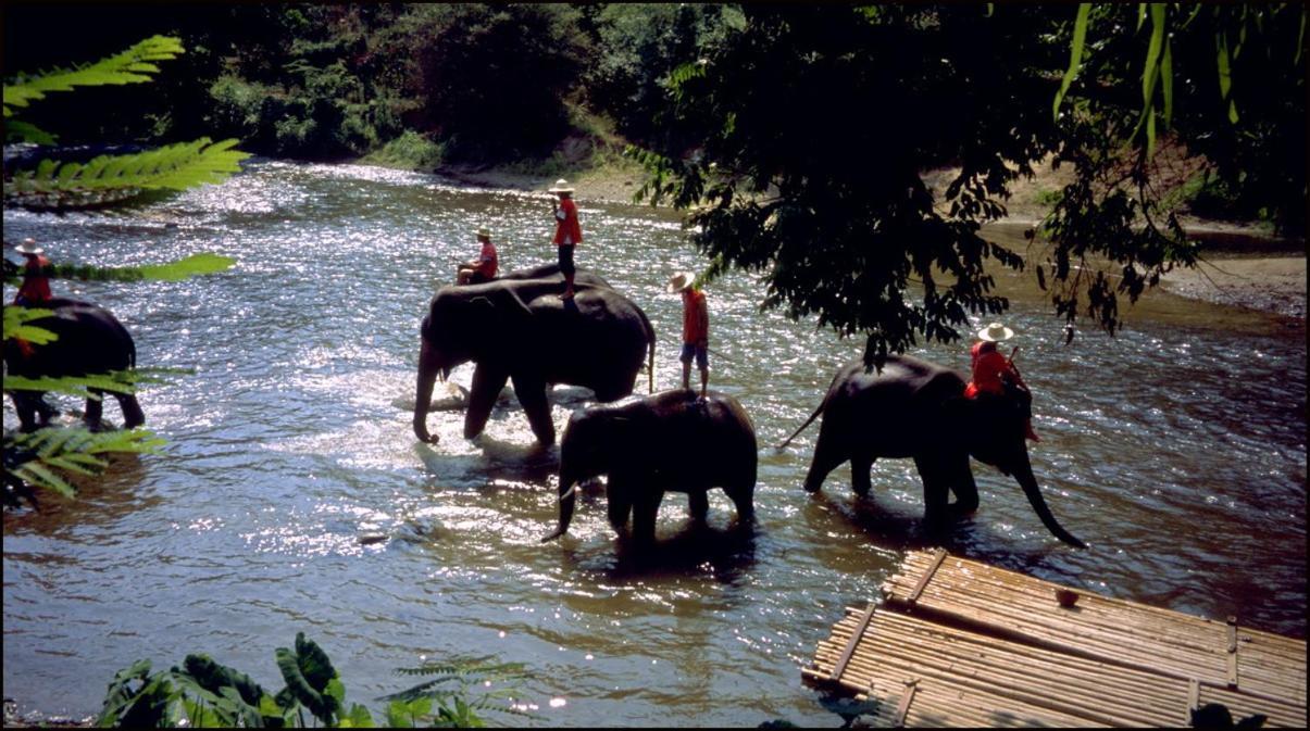 A Pousada One Night Zleep At Nimman Chiang Mai Exterior foto