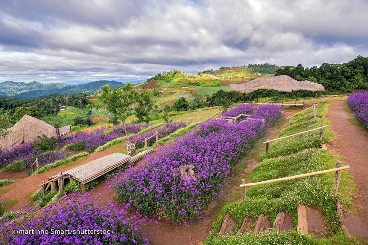 A Pousada One Night Zleep At Nimman Chiang Mai Exterior foto